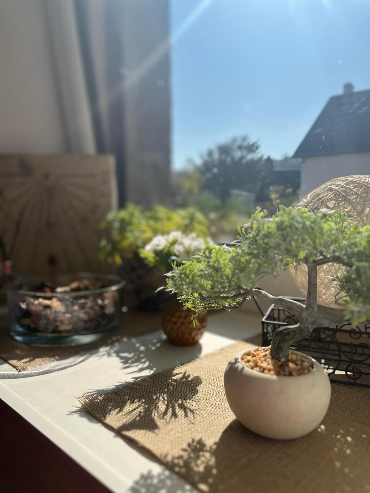 Le Gite De La Menuiserie Maisoncelles-la-Jourdan Bagian luar foto